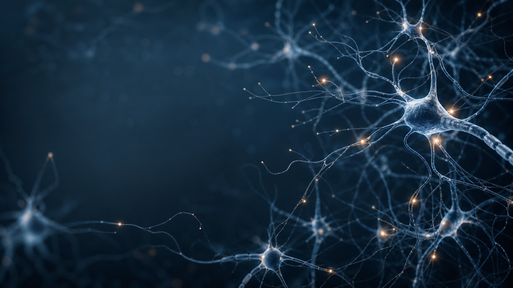 Brain network illustration